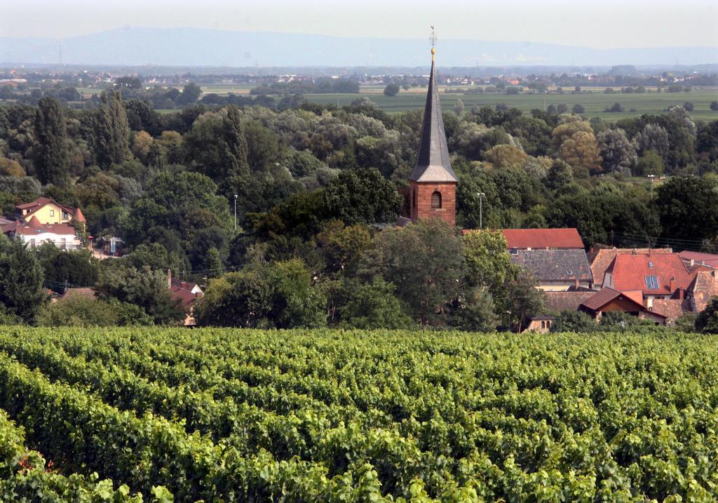 슈파이어 Weinstube Schwarzamsel 아파트 외부 사진
